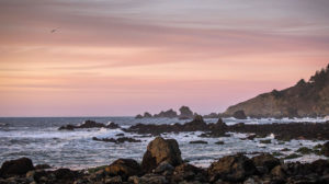 Overlanding the Loast Coast