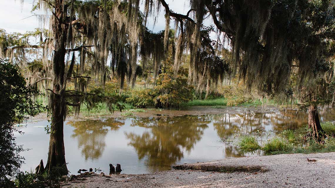 Louisiana Overland Outfitters